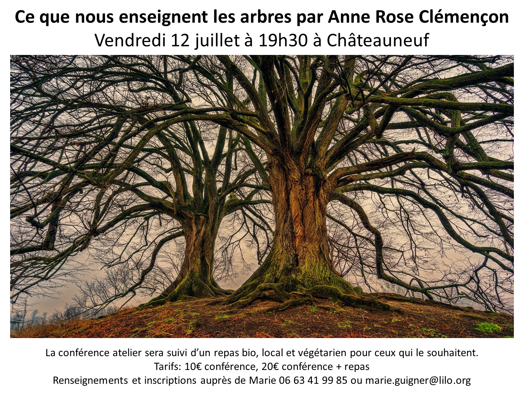 Affiche conférence atelier